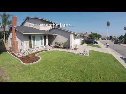 Concrete Lawn Borders - My DIY Experience with Quikrete