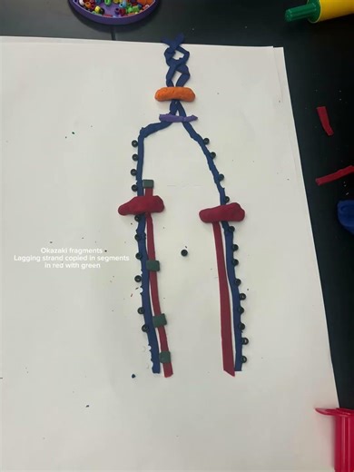 DNA REPLICATION STOP MOTION DR B P7