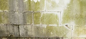 10 Ways to Prevent Basement Mold | DoItYourself.com