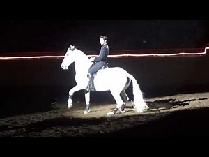 Theatre Equus 2020 Harrisburg