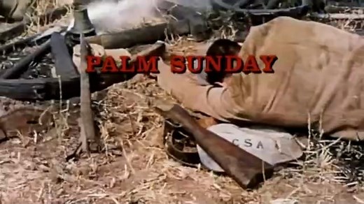 Run of the Arrow (1957)