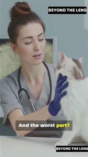 28 Deadly Mistakes Cat Owners Make (That Shorten Their Cat’s Life)