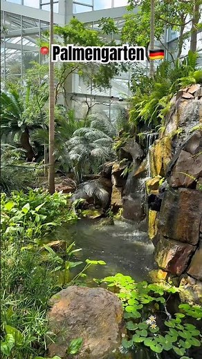 Palmengarten Frankfurt 🇩🇪 | Butterfly House & Tropical Garden #Shorts #germanytourism