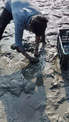 Silent Hunt: Night Fishing with a Handmade Bow and Arrow!​