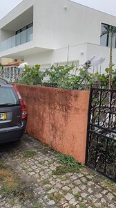 161K views · 1.1K reactions | Linda Costa on Reels | Facebook