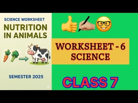 \t🚀 “Science Exam 2025 Worksheet | Easy & Fun Practice for Semester Paper!”