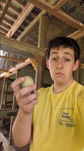 Why Did My Chickens Reject This Egg?