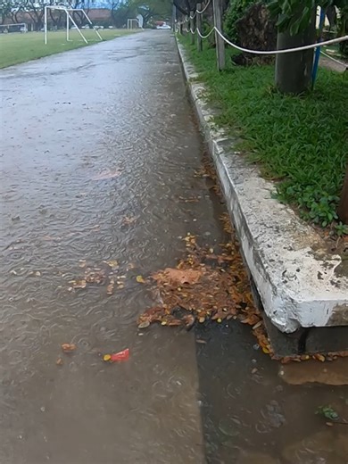 Unclogged Culvert Solutions After Rain