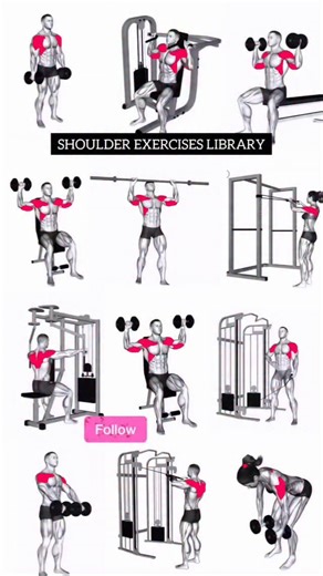 Shoulder chart | Azra Fitness