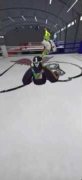 Full body tracking fighting! #gorillatag #vr #shorts