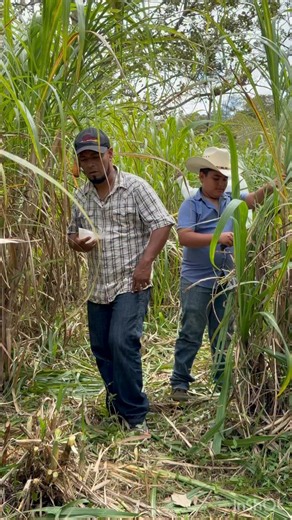 Súper bolw en mi barrio 😂😂😂 | Chevo