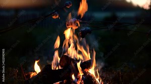 Grilled Marshmallow On Stick. Sitting Near Bonfire. Toasting Marshmallow On Firewood. Family Campfire Happy Fun Adventure. Toasting Marshmallows On Sticks On Fire. Roasting Food Over Fire In Camping