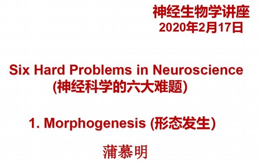 【蒲慕明的课】神经科学的六大难题之1: Morphogenesis（形态发生）