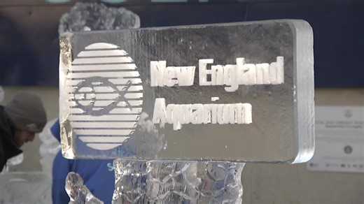 Ice sculptures carved outside of New England Aquarium