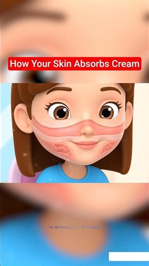 How Your Skin Absorbs Cream