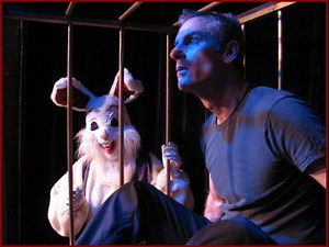 Halloween and Other Santa Monica Events