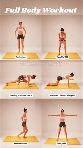 Full Body Toning Workout For Beginner
