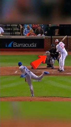 Why baseball player fighting with each other in field #shorts #immensefact