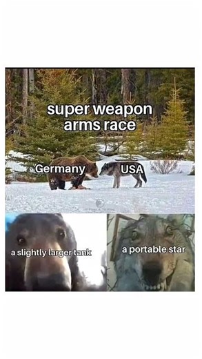 History Memes 17 #Memes #Shorts