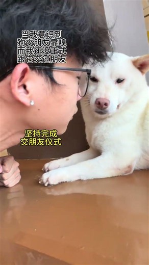 Master Dog Friendship Skills in 5 Steps - Kids' Unusual Behavior Explained