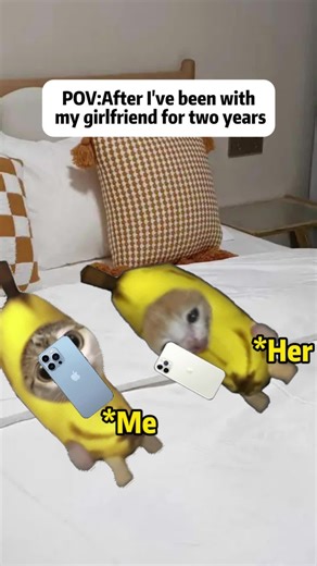 Go try it with your girlfriend right now! #funnycat #catmeme #foryou | fart