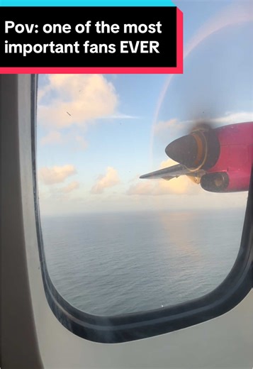 Exploring Tobago: A Caribbean Airlines Journey