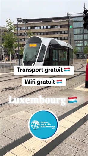 Contactez Global Vision Internationale pour vos besoins