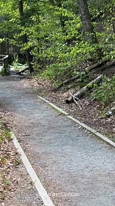 Moss Glens Falls in Granville, Vermont | Vermonter.com