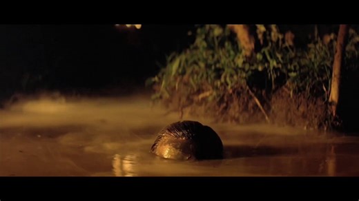 The ending of Apocalypse Now (1979) feels like plunging straight into madness. Coppola not only ends a film about war, he also ends the illusion that war could ever have meaning. This is one of the most classic and haunting final scenes in the history of cinema.