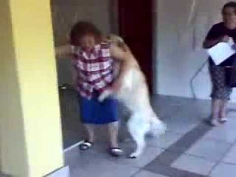 Grandma Gets it Doggie Style