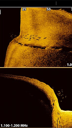204K views · 931 reactions |  Time to start casting!  A great example of what a school of fish look like on different sonar types. MEGA Side and Down Imaging alongside Dual-Spectrum CHIRP Sonar. #Humminbird | Humminbird | Facebook