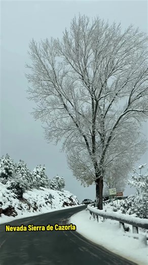 Disfruta de una Navidad mágica en Sierra de Cazorla