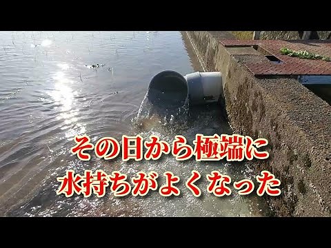 劇的によくなった田んぼの水持ち対策