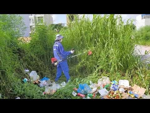 Horrifying. The sheer volume of work on the sidewalk has completely exhausted us