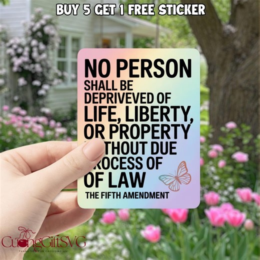 Fifth Amendment Due Process Car Bumper Magnet | Auto Vehicle Driver Accessory Truck Van | ACAB Abolish ICE Immigrant Rights, Deport Fascists - Etsy