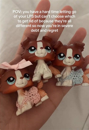 all i wanted was one 😭 how did i end up with so many #lps #littlestpetshop #lpstiktok #lpstok #lpscollection #lpscollector #rarelps #lpscommunity #dreamlps #lpstuber #lpstube