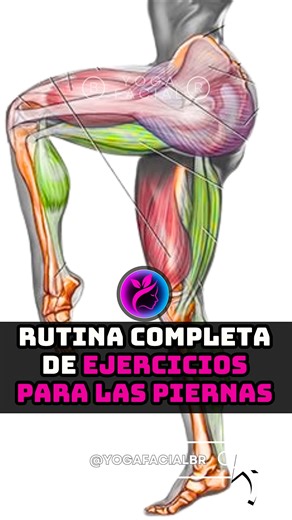 A partir de los 50, mantener las piernas activas se vuelve clave para moverse con mayor facilidad y seguridad 🦵✨ Esta rutina sencilla ayuda a trabajar la movilidad, estimular la circulación y mantener las piernas ágiles con solo unos minutos al día 💪🌿 Guarda este video y practícalo a diario para convertirlo en un hábito saludable 💙 #PiernasFuertes #MovimientoDiario #BienestarCorporal #RutinaSaludable #VidaActiva | Yogafacialbr