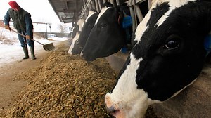 Fighting over the CAP