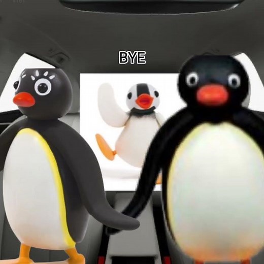 Pingu, pingi and pinga on a road trip