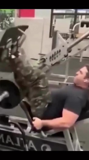 حسابات مقترحة