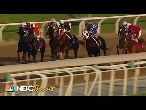 Breeders' Cup 2023: Sprint (FULL RACE) | NBC Sports