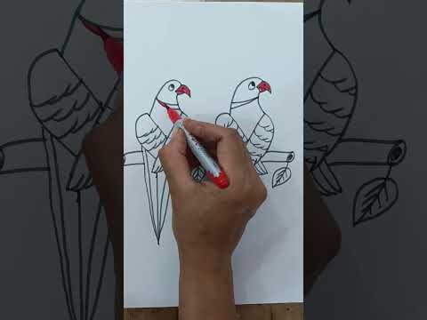 How to draw beautiful and easy parrots with y
