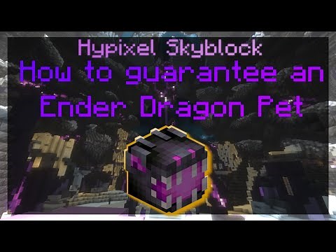 How to get a GUARANTEED ENDER DRAGON PET on Hypixel Skyblock!