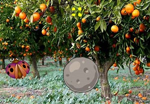 Twin Orange Birds Escape - Escape Fan