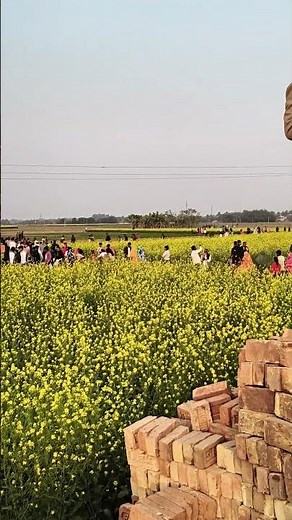 মাঠে-ঘাটে চতুর্দিক থেকে লোক আসছে বাবরি মসজিদের জমিতে। #babrimasjid