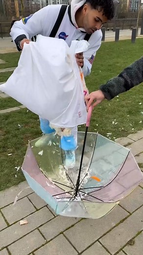 42K views · 1.1K reactions | Episode XVI of PhotoVideos: Pillow fight escalated 襁 | Youneszarou | Facebook