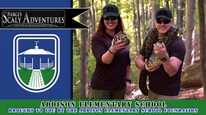 Addison Elementary School, the Addison Elementary School Foundation...