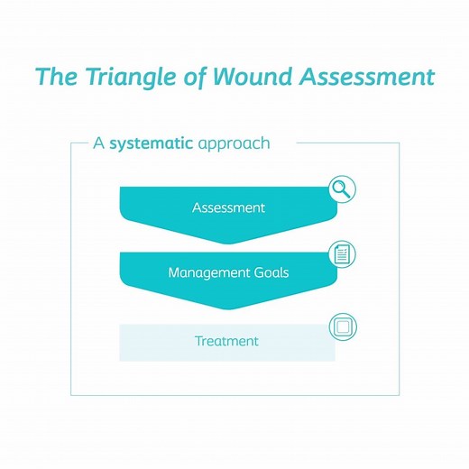 2.1K views · 65 reactions | What is the Triangle of Wound Assessment? Find out in this quick video and visit www.triangleofwoundassessment.com to learn more. | Coloplast Wound and Skin Care | Facebook