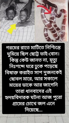 একসাথে ঘুমিয়েছিল ভাই-বোন সকালে দুজনকেই আর জাগাতে পারলেন না মা...