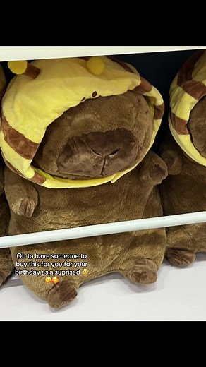 #capybaralover #capybara #someon